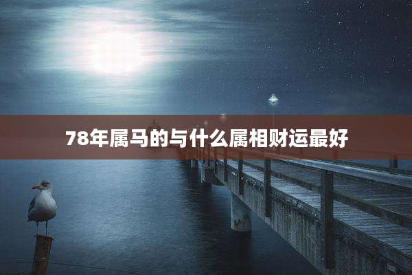 78年属马的与什么属相财运最好