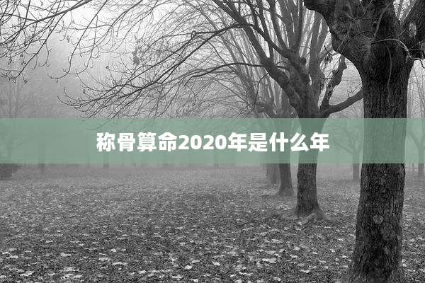 称骨算命2020年是什么年