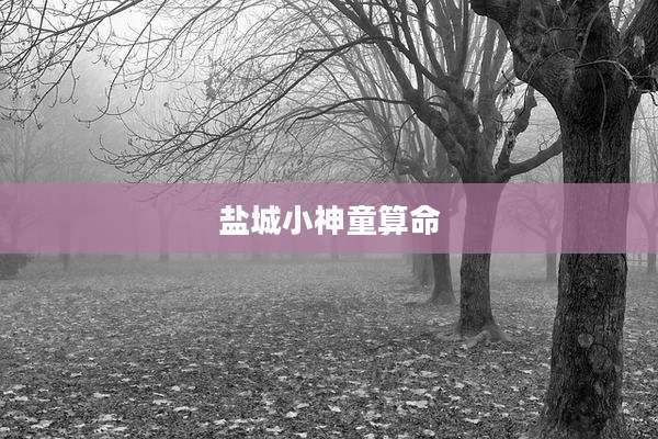 盐城小神童算命
