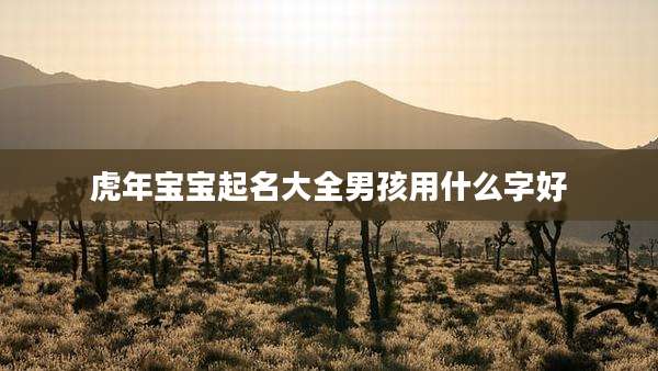 虎年宝宝起名大全男孩用什么字好