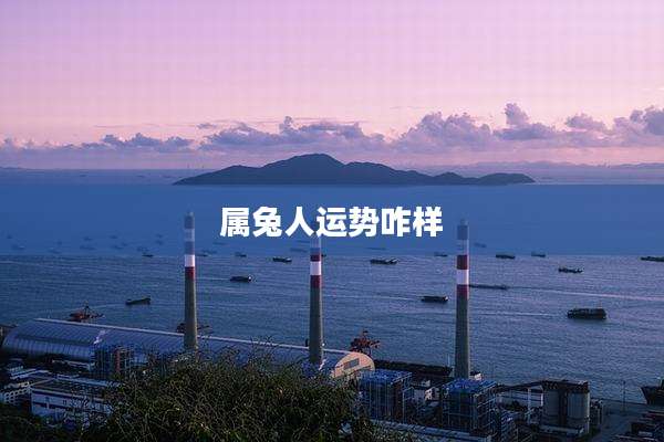 属兔人运势咋样