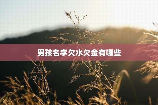 男孩名字欠水欠金有哪些