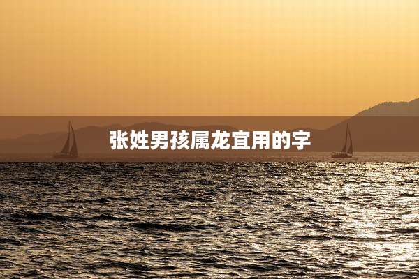 张姓男孩属龙宜用的字