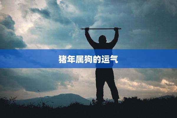 猪年属狗的运气