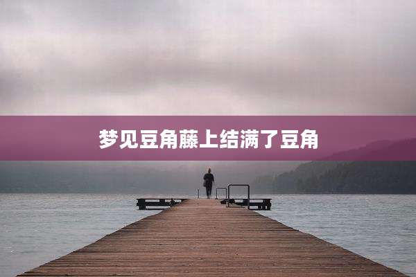 梦见豆角藤上结满了豆角