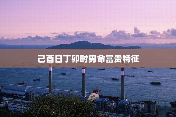 己酉日丁卯时男命富贵特征