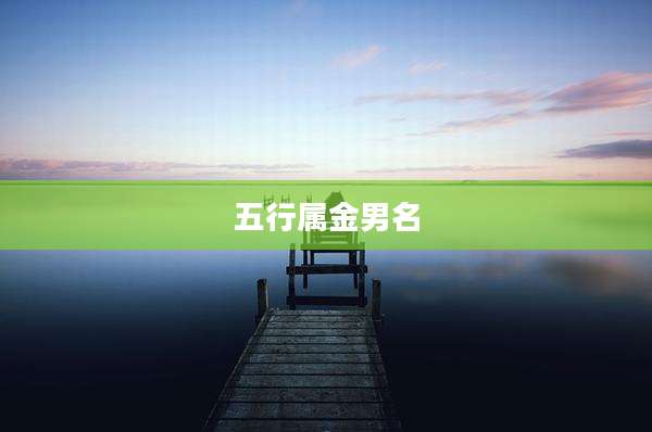 五行属金男名