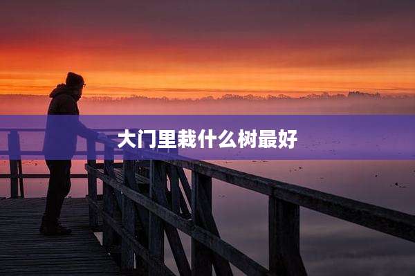 大门里栽什么树最好