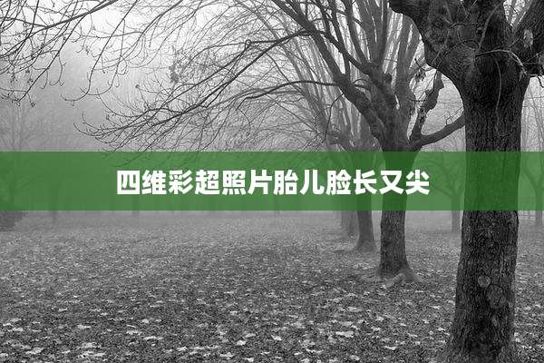 四维彩超照片胎儿脸长又尖
