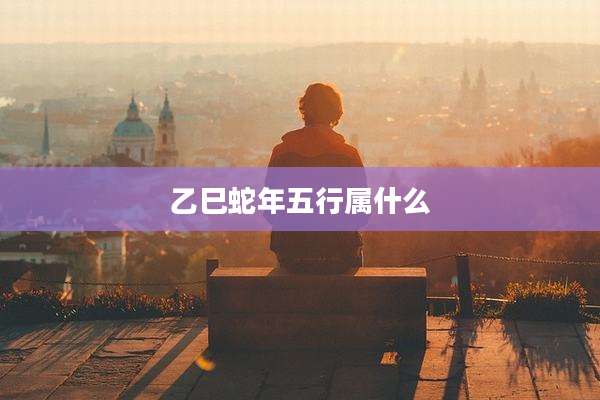 乙巳蛇年五行属什么