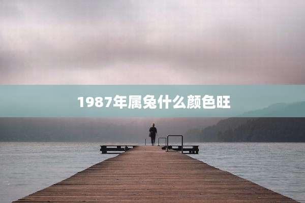 1987年属兔什么颜色旺