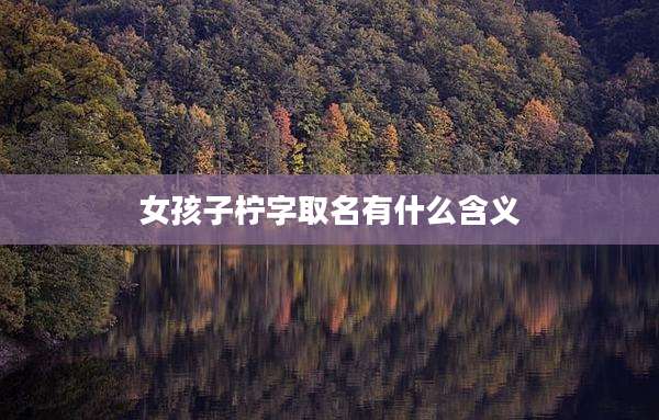 女孩子柠字取名有什么含义
