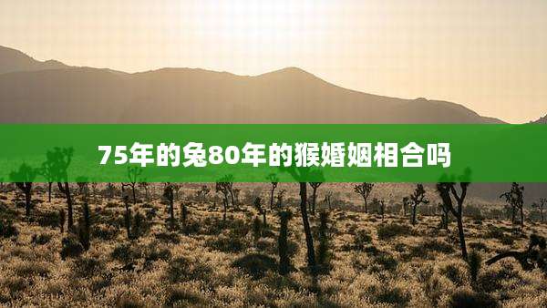 75年的兔80年的猴婚姻相合吗
