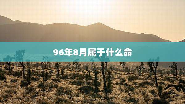 96年8月属于什么命