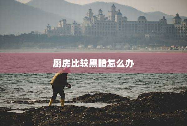 厨房比较黑暗怎么办