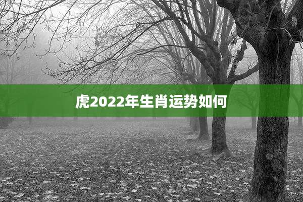 虎2022年生肖运势如何
