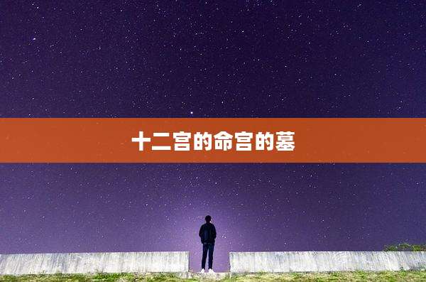 十二宫的命宫的墓
