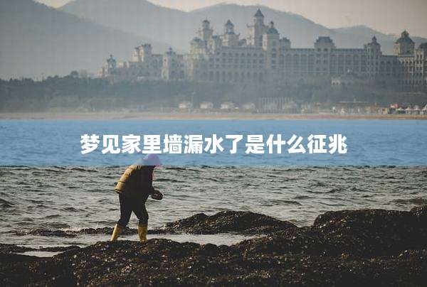 梦见家里墙漏水了是什么征兆
