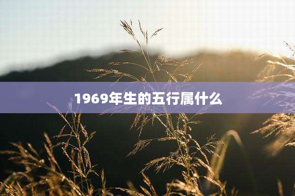 1969年生的五行属什么