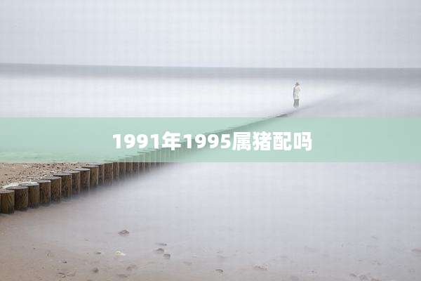 1991年1995属猪配吗