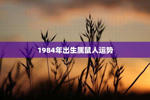 1984年出生属鼠人运势