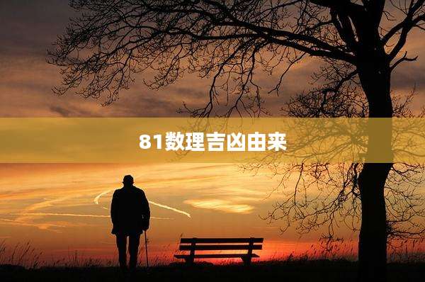 81数理吉凶由来