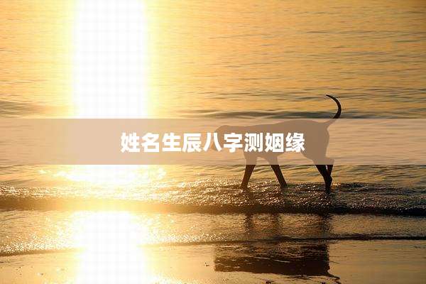 姓名生辰八字测姻缘