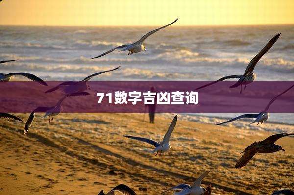 71数字吉凶查询
