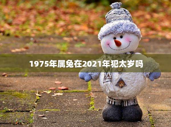 1975年属兔在2021年犯太岁吗