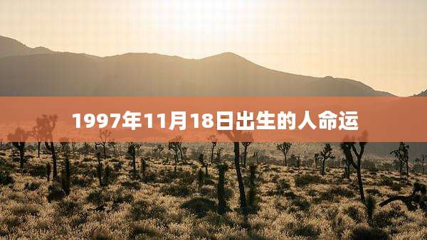1997年11月18日出生的人命运