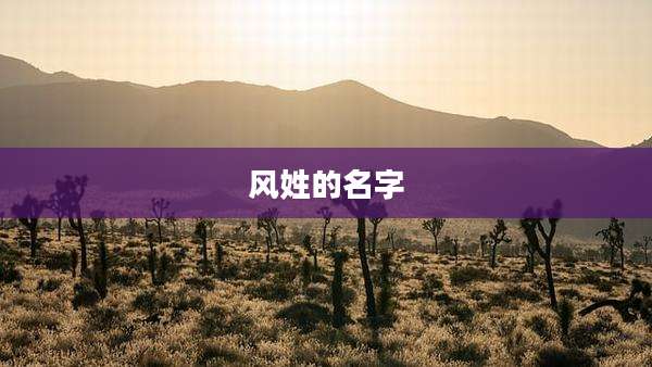 风姓的名字