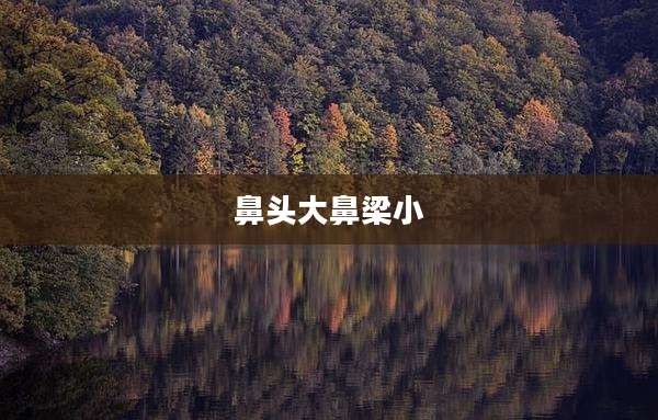 鼻头大鼻梁小