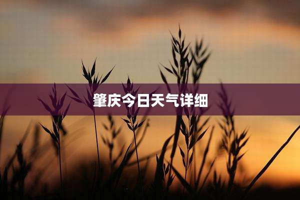肇庆今日天气详细