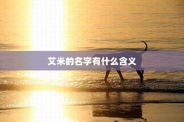 艾米的名字有什么含义