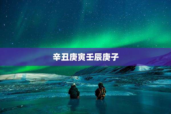 辛丑庚寅壬辰庚子
