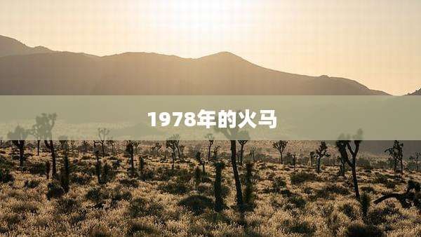 1978年的火马