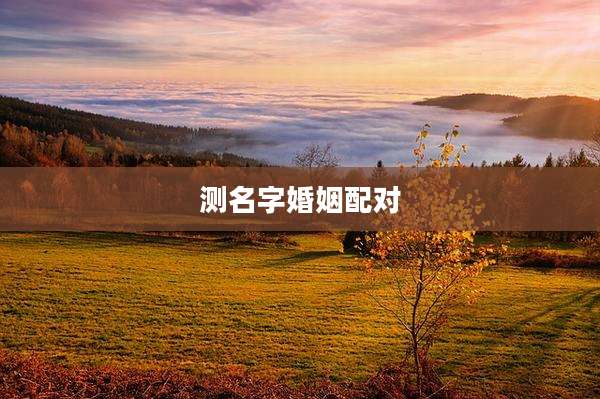 测名字婚姻配对