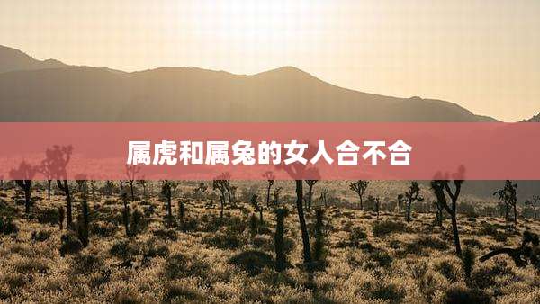 属虎和属兔的女人合不合