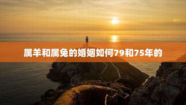 属羊和属兔的婚姻如何79和75年的