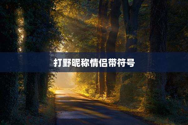打野昵称情侣带符号