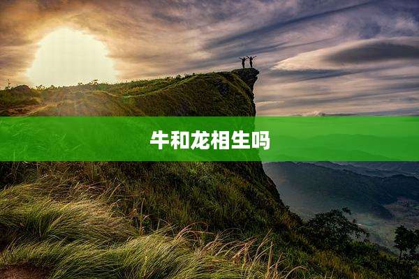 牛和龙相生吗