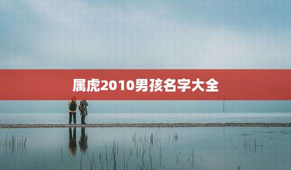 属虎2010男孩名字大全