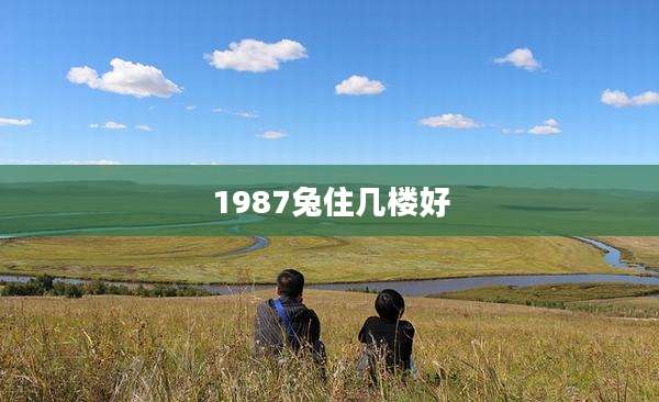 1987兔住几楼好