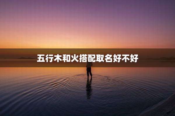 五行木和火搭配取名好不好