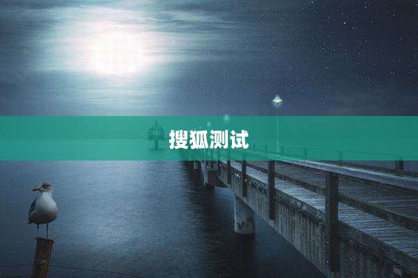 搜狐测试