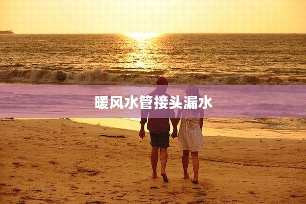 暖风水管接头漏水
