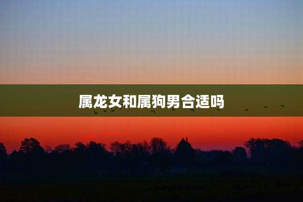 属龙女和属狗男合适吗