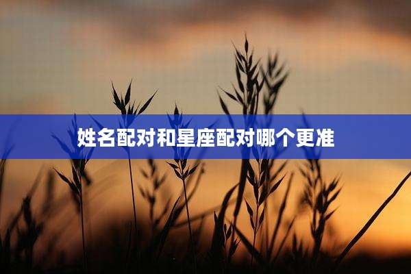 姓名配对和星座配对哪个更准