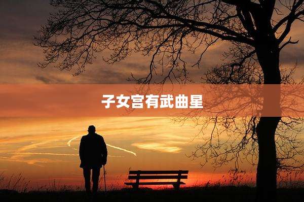 子女宫有武曲星
