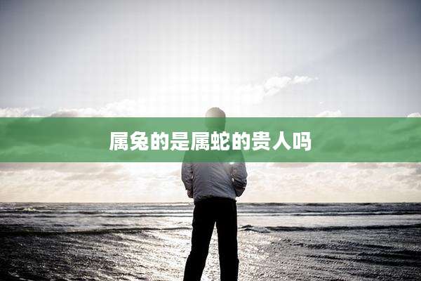 属兔的是属蛇的贵人吗